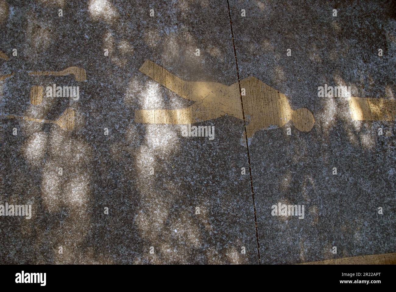 Bicycle and pedestrian lane, Gold Coast, Australia Stock Photo Alamy