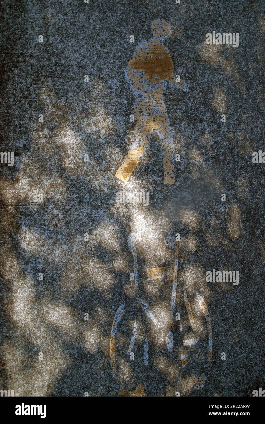 Bicycle and pedestrian lane, Gold Coast, Australia Stock Photo Alamy