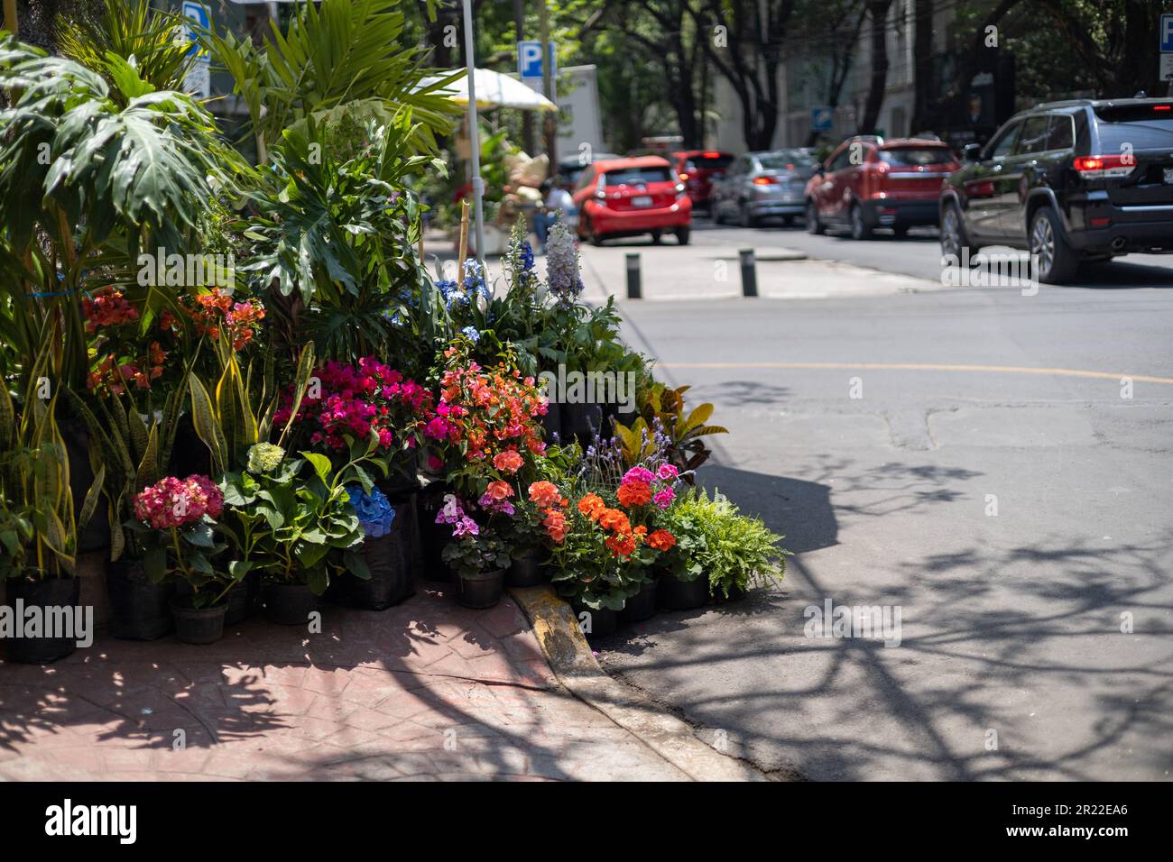 Flower Shop in streets of Mexico City Stock Photo Alamy