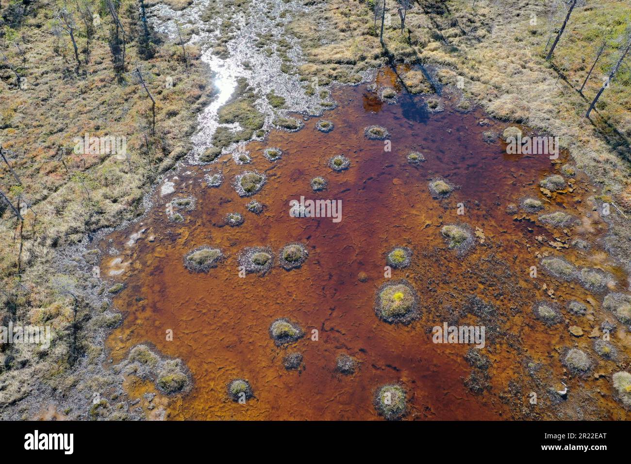 pond in marsh land, aerial view, Sweden, Lapland, Kiruna Stock Photo