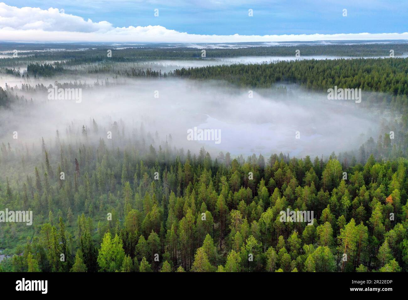 taiga with conifer forests and ponds in Aelvdalen region, aeril view, Sweden Stock Photo