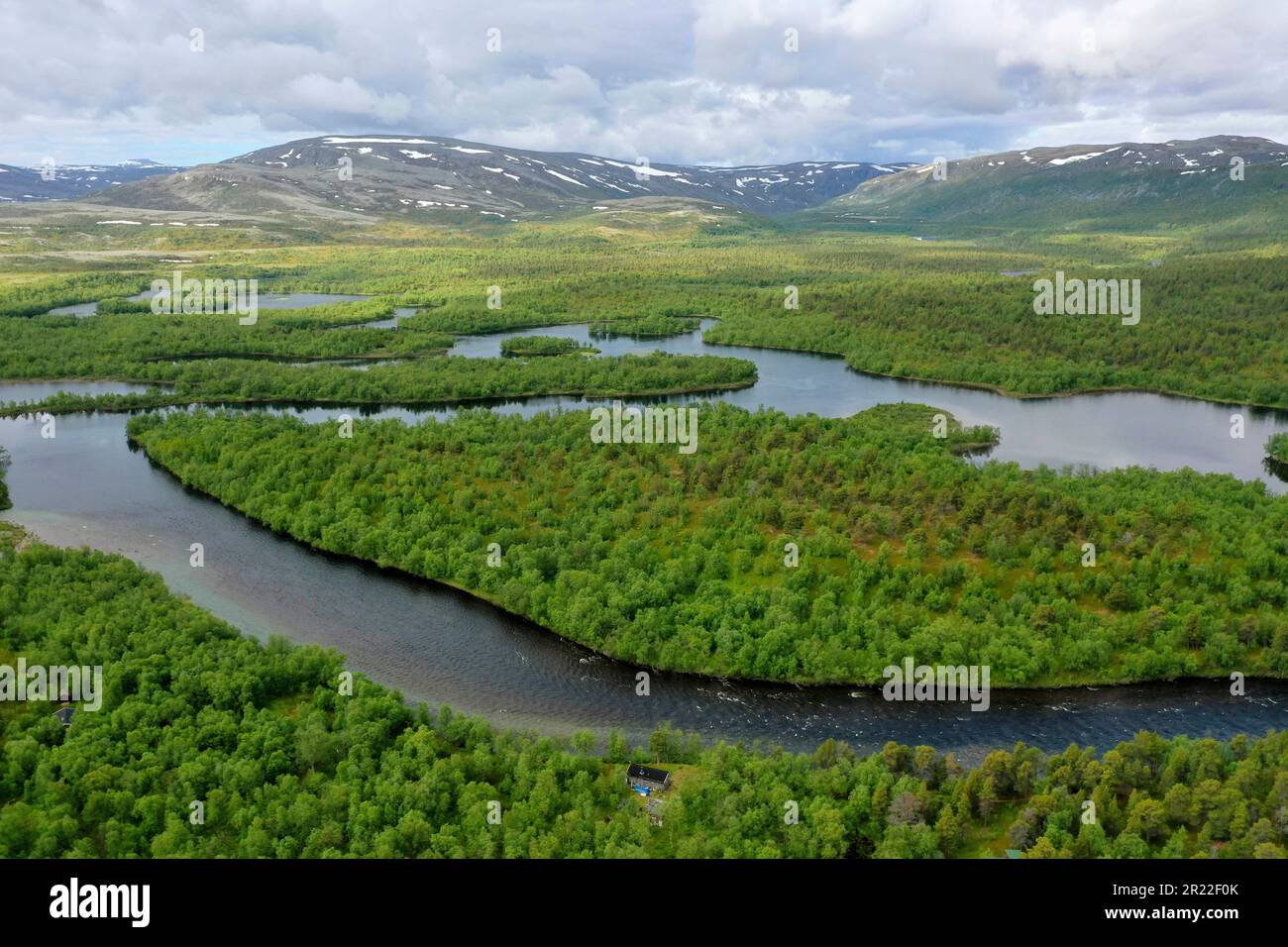taiga with water and pine forests, aerial view, Norway, Finnmark, Stabbursdalen National Park Stock Photo