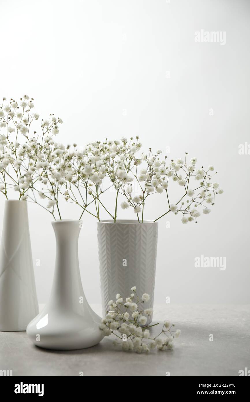 Gypsophila flowers in vases on table against white background Stock ...