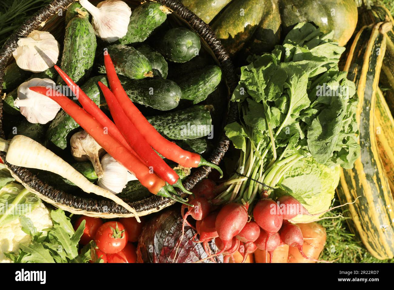 Different fresh ripe vegetables on green grass, top view Stock Photo ...
