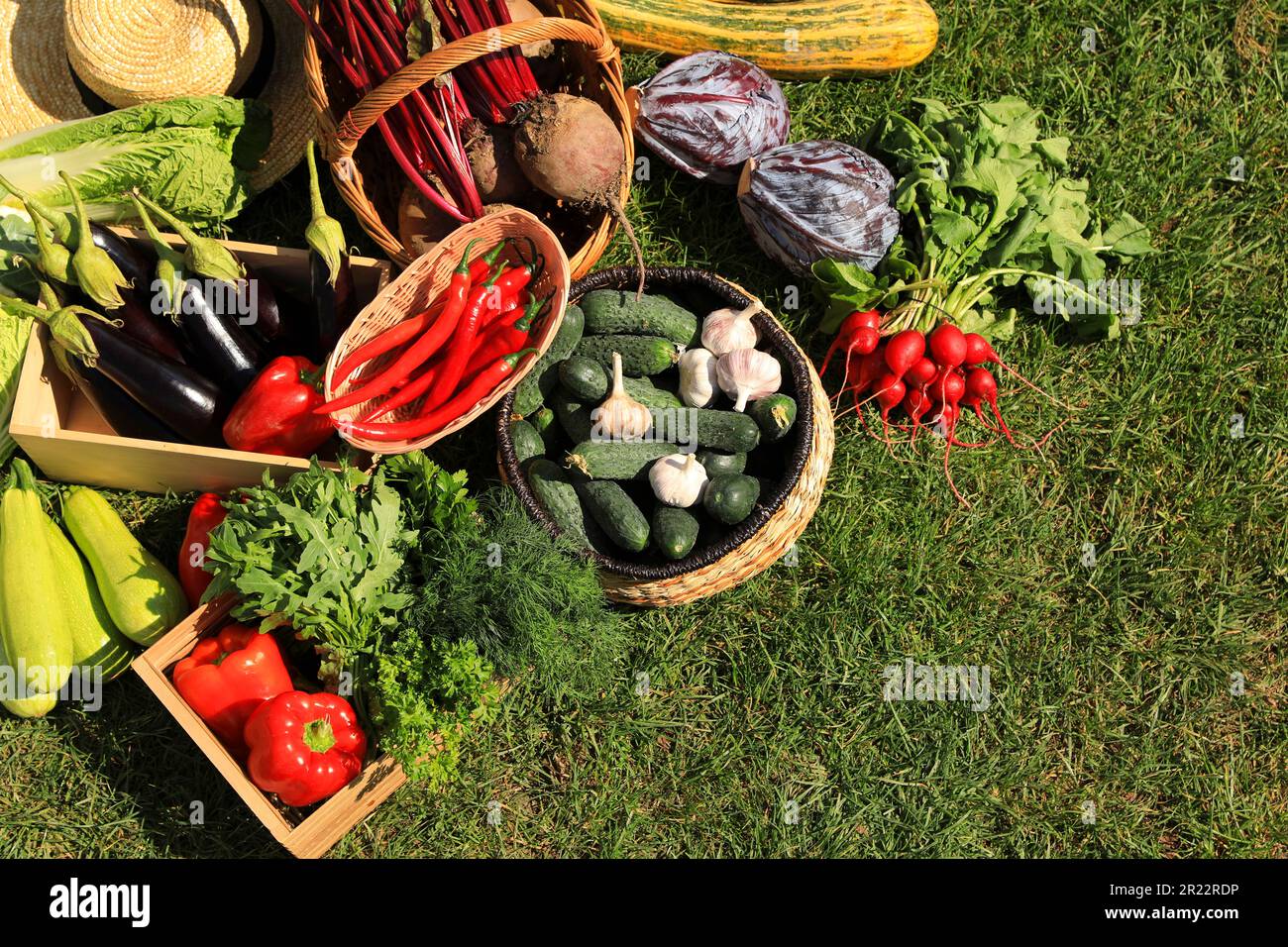 Different fresh ripe vegetables on green grass, flat lay Stock Photo ...