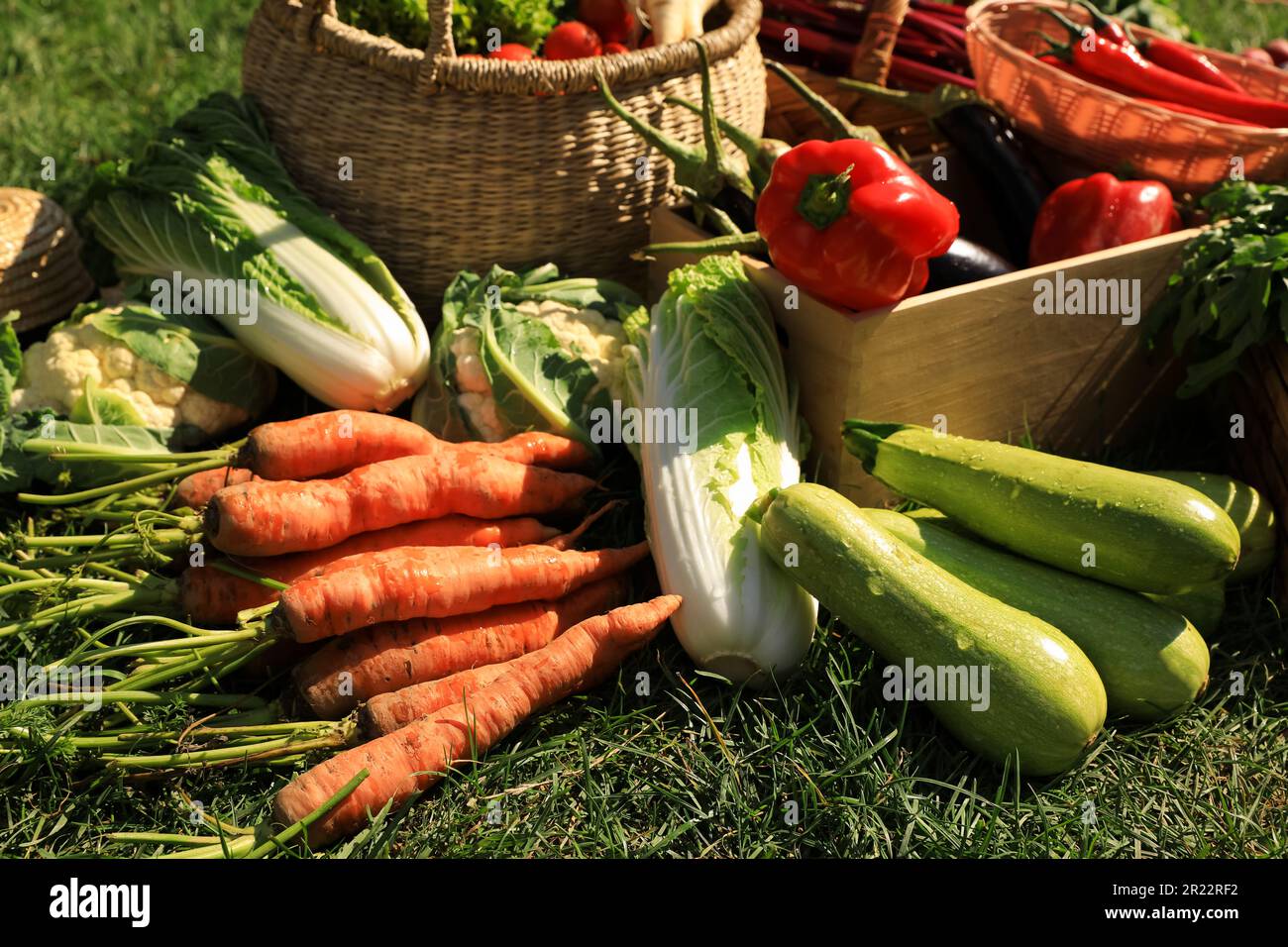 Different fresh ripe vegetables on green grass Stock Photo - Alamy