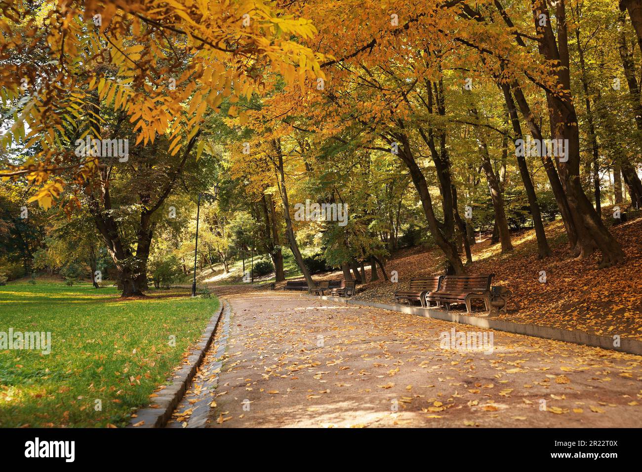 Pathway, benches, fallen leaves and trees in beautiful park on autumn ...