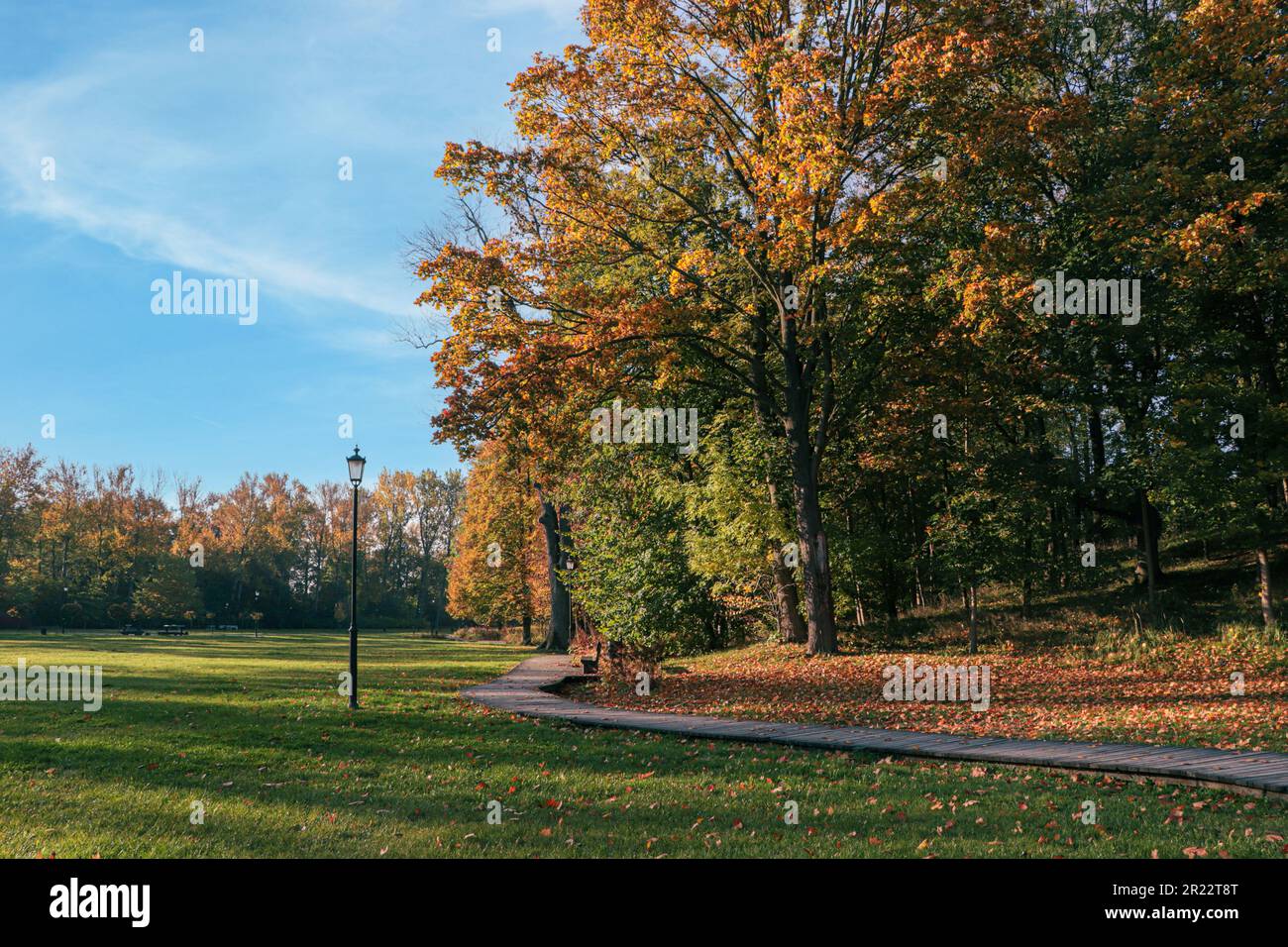 Picturesque view of park with beautiful trees and pathway on sunny day ...
