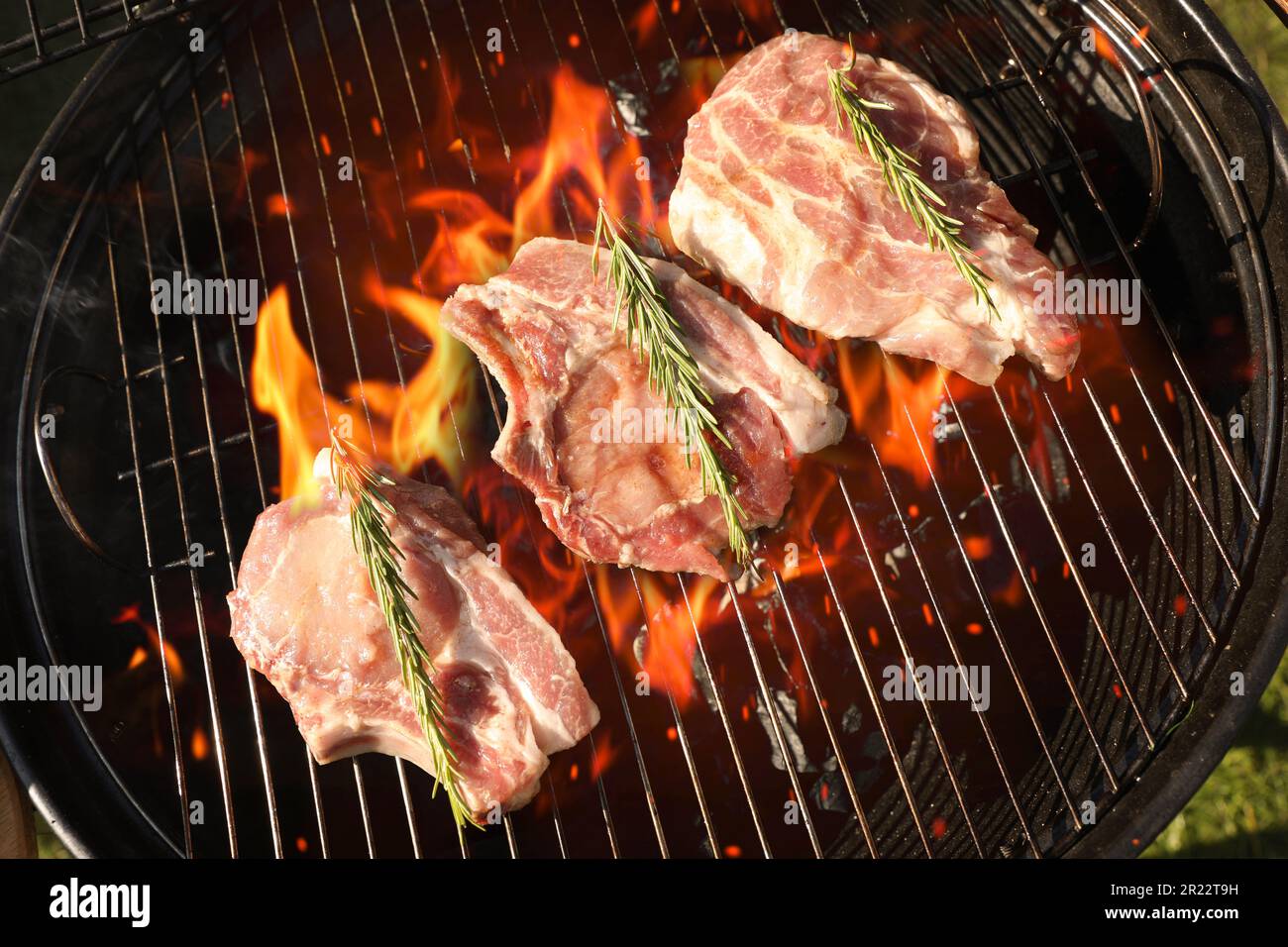 Cooking meat on barbecue grill outdoors, top view Stock Photo Alamy