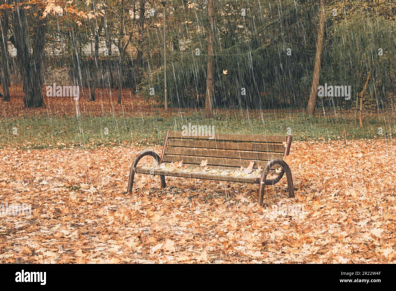 Wooden bench and fallen autumn leaves in park on rainy day Stock Photo ...