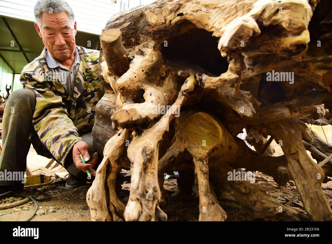 ZAOZHUANG, CHINA - MAY 16, 2023 - Folk artist Sun Jinfa designs for a large root carving in Zaozhuang city, East China's Shandong province, May 16, 20 Stock Photo