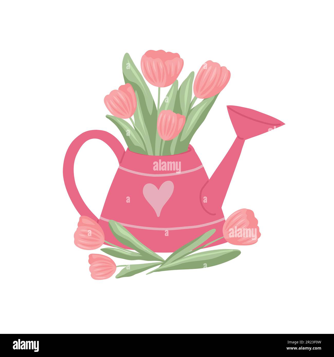 Vector illustration of a watering can with tulips isolated from the ...