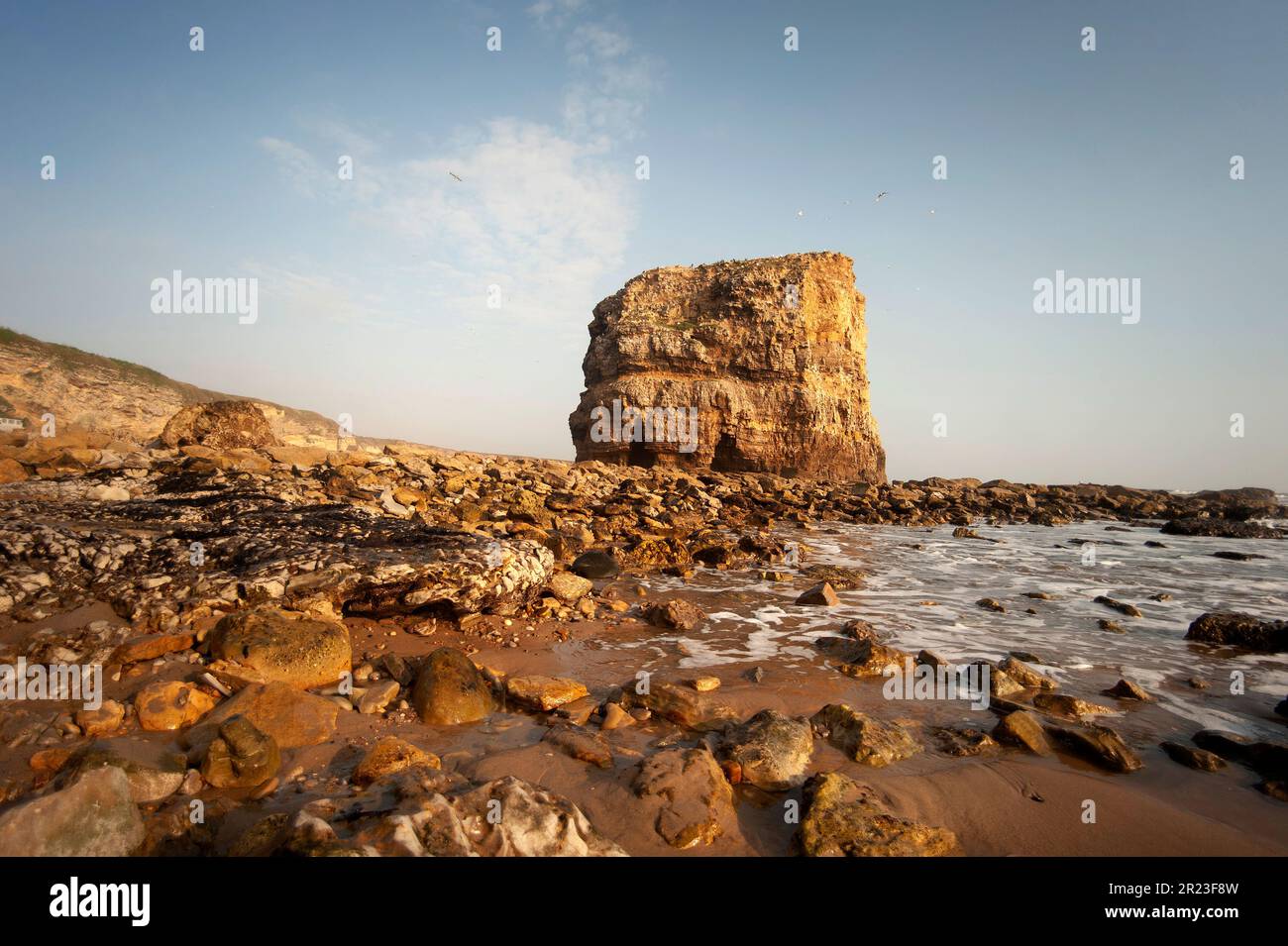 Marsden Rock at sunrise Stock Photo - Alamy