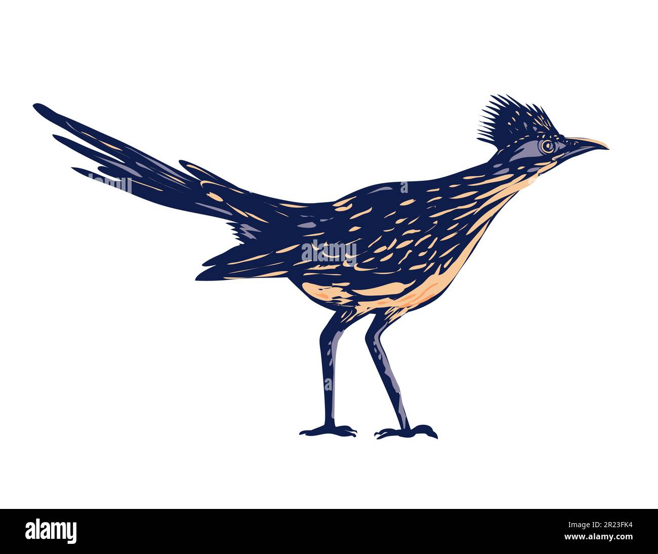 WPA poster art of a roadrunner, chaparral bird or chaparral cock in Joshua Tree National Park located in Mojave Desert, California done in works proje Stock Photo