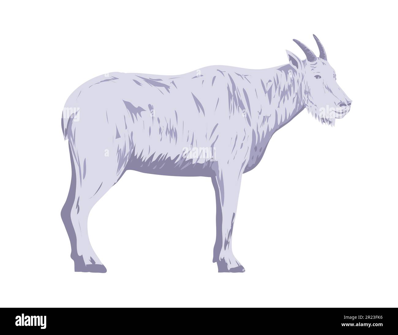 WPA poster art of a mountain goat or the Rocky Mountain goat viewed from side on isolated white background done in works project administration. Stock Photo