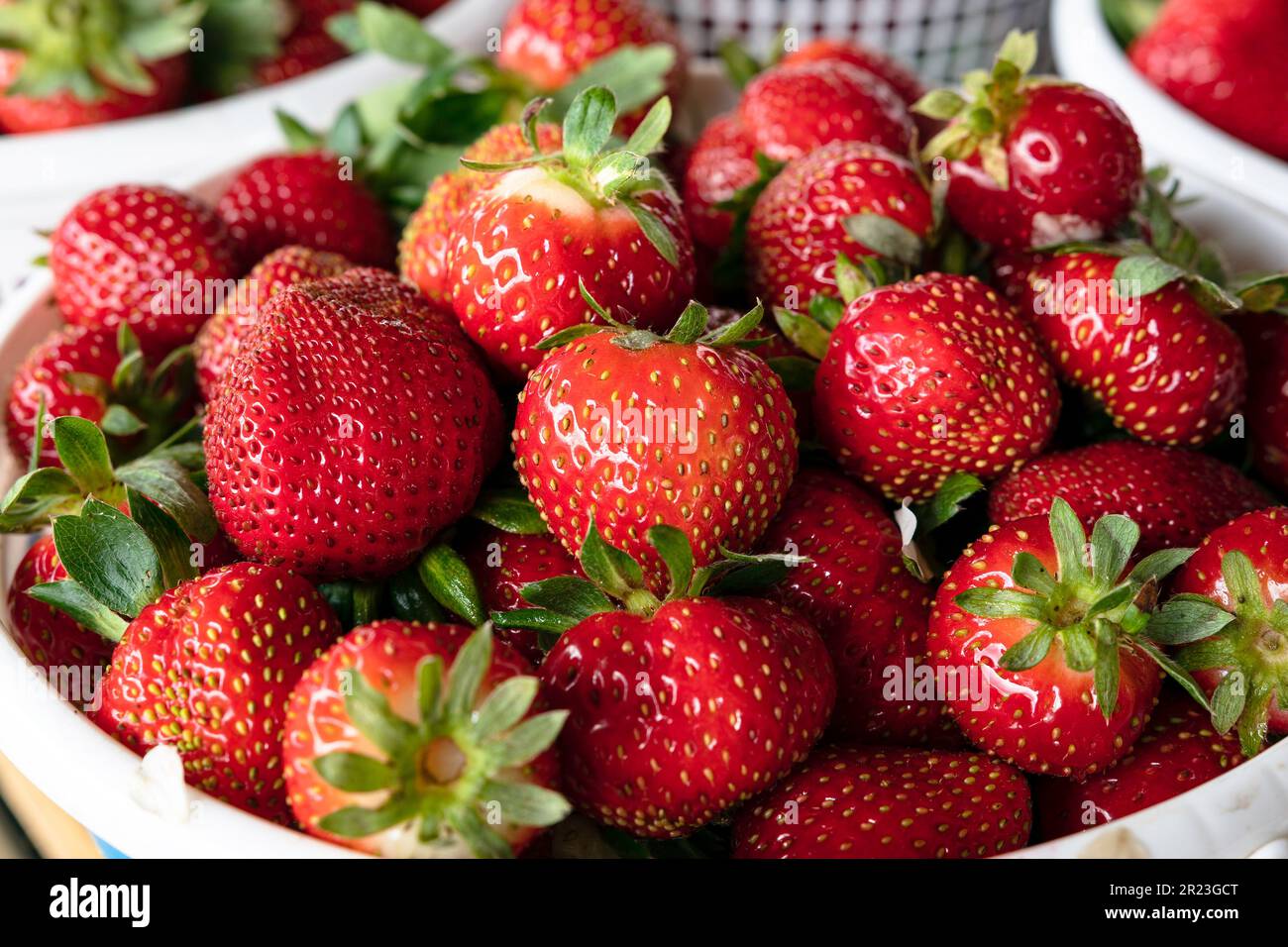 Freshly picked strawberries (Fragaria ananassa) in a white plastic basket at a farmer's market. Stock Photo
