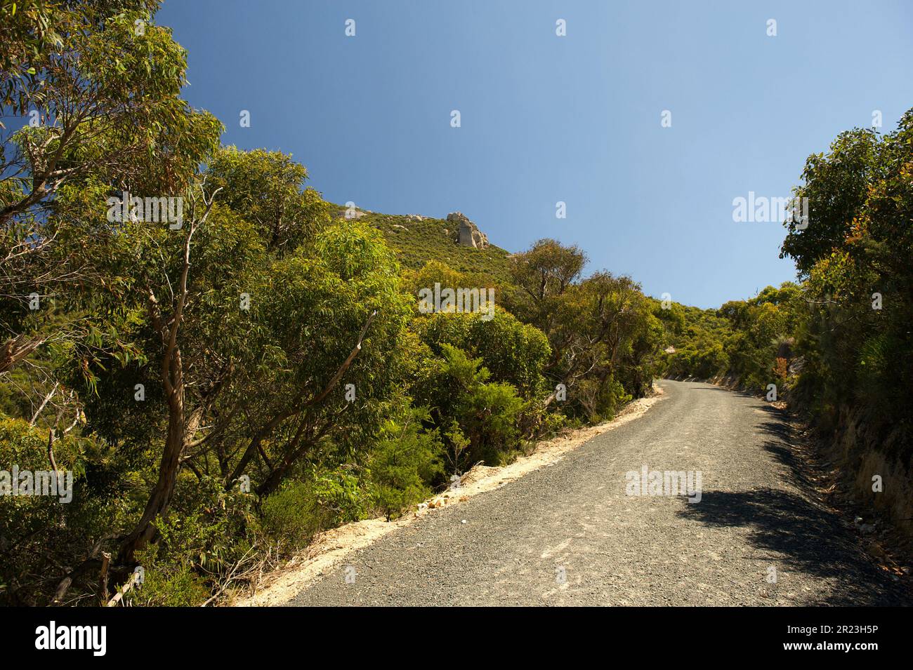 Mount Oberon is in Wilsons Promontory National Park, in Victoria, Australia. It has 180º views of the National Park, if you can make it to the top! Stock Photo