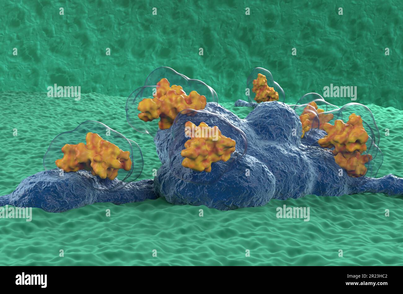 Neurotoxins (like spyder venom enzyme) destructive to nerve tissue - 3d illustration closeup view Stock Photo