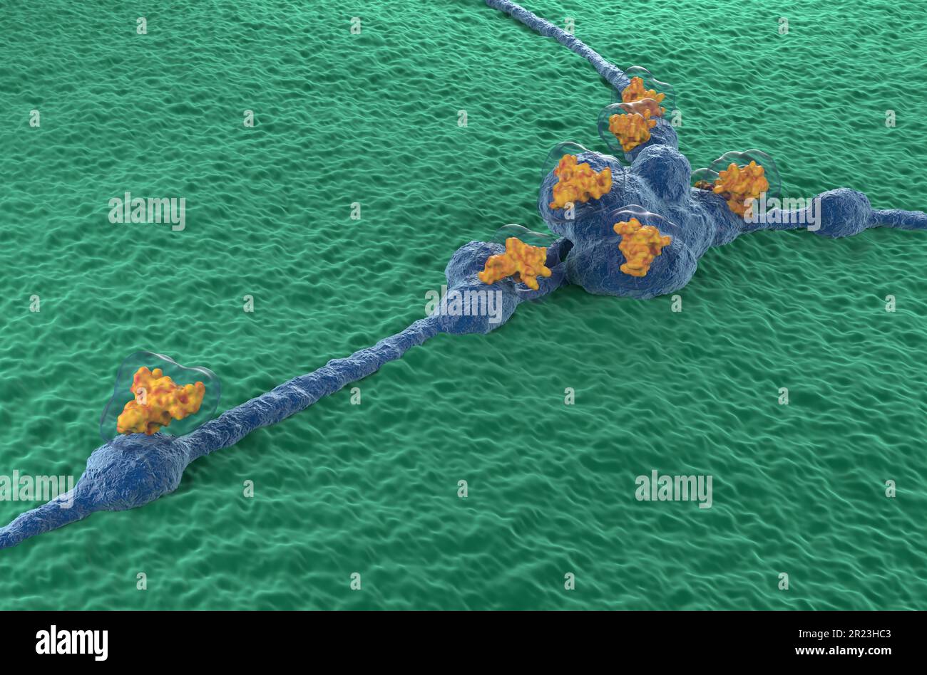 Neurotoxins (like spyder venom enzyme) destructive to nerve tissue - 3d illustration isometric view Stock Photo