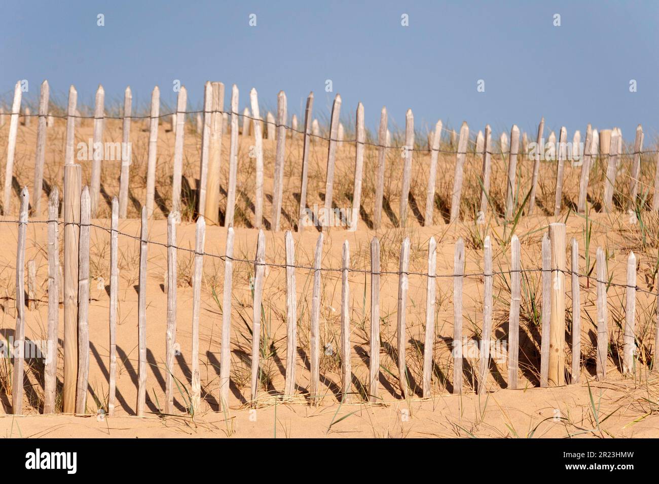 Sand trap fencing on Sandhaven Beach, South Shields Stock Photo Alamy