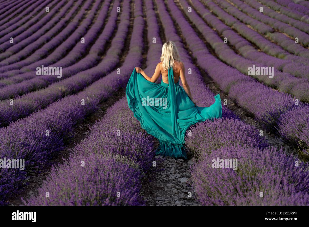 A woman with long blonde hair in a light green dress is walking through a lavender field alone waving a lavender dress Stock Photo - Alamy A woman with long blonde hair in a light green dress is walking through a lavender field alone waving a lavender dress Stock Photo - Alamy