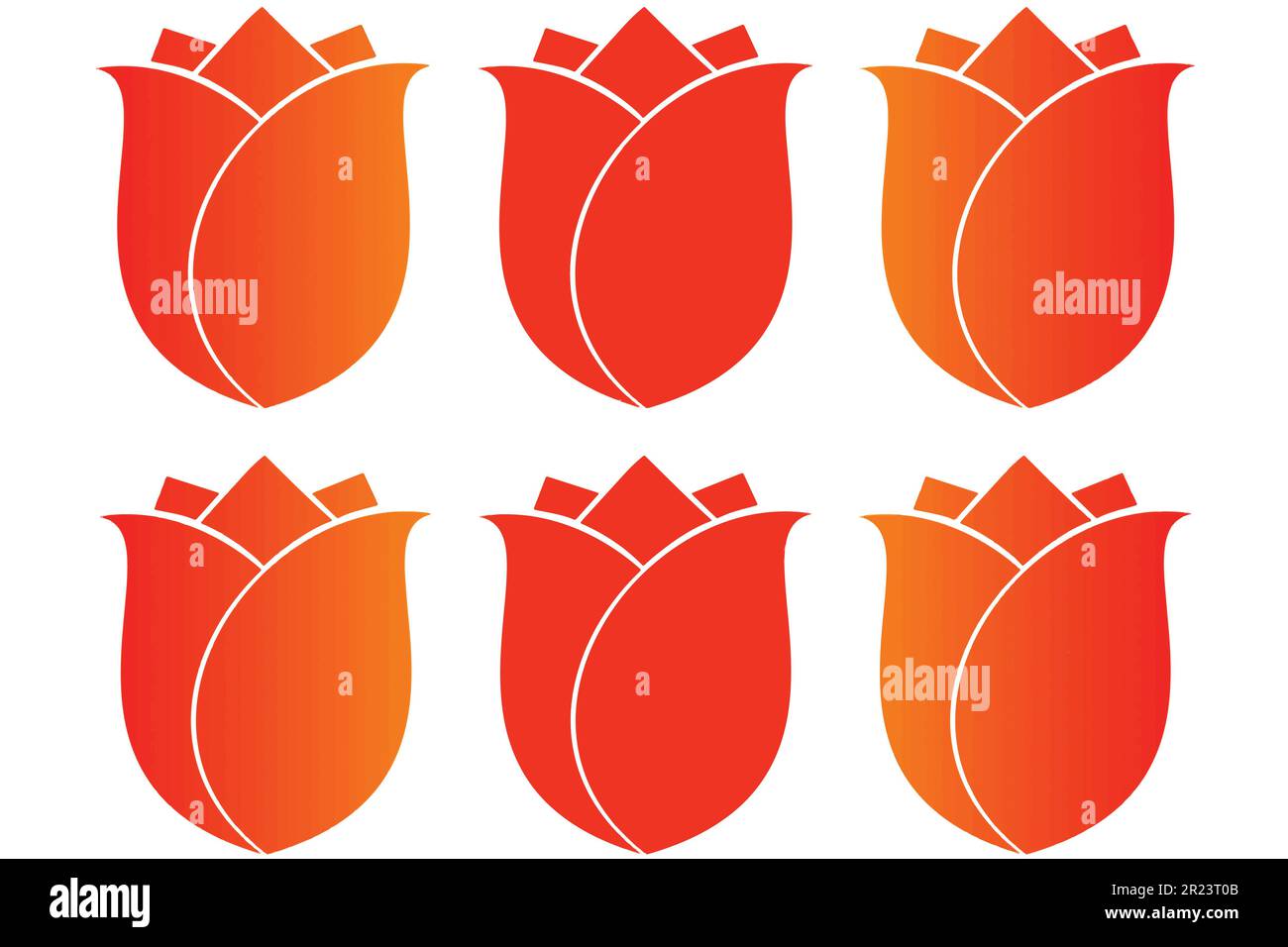 Set of orange and red roses isolated on a white background. Vector ...
