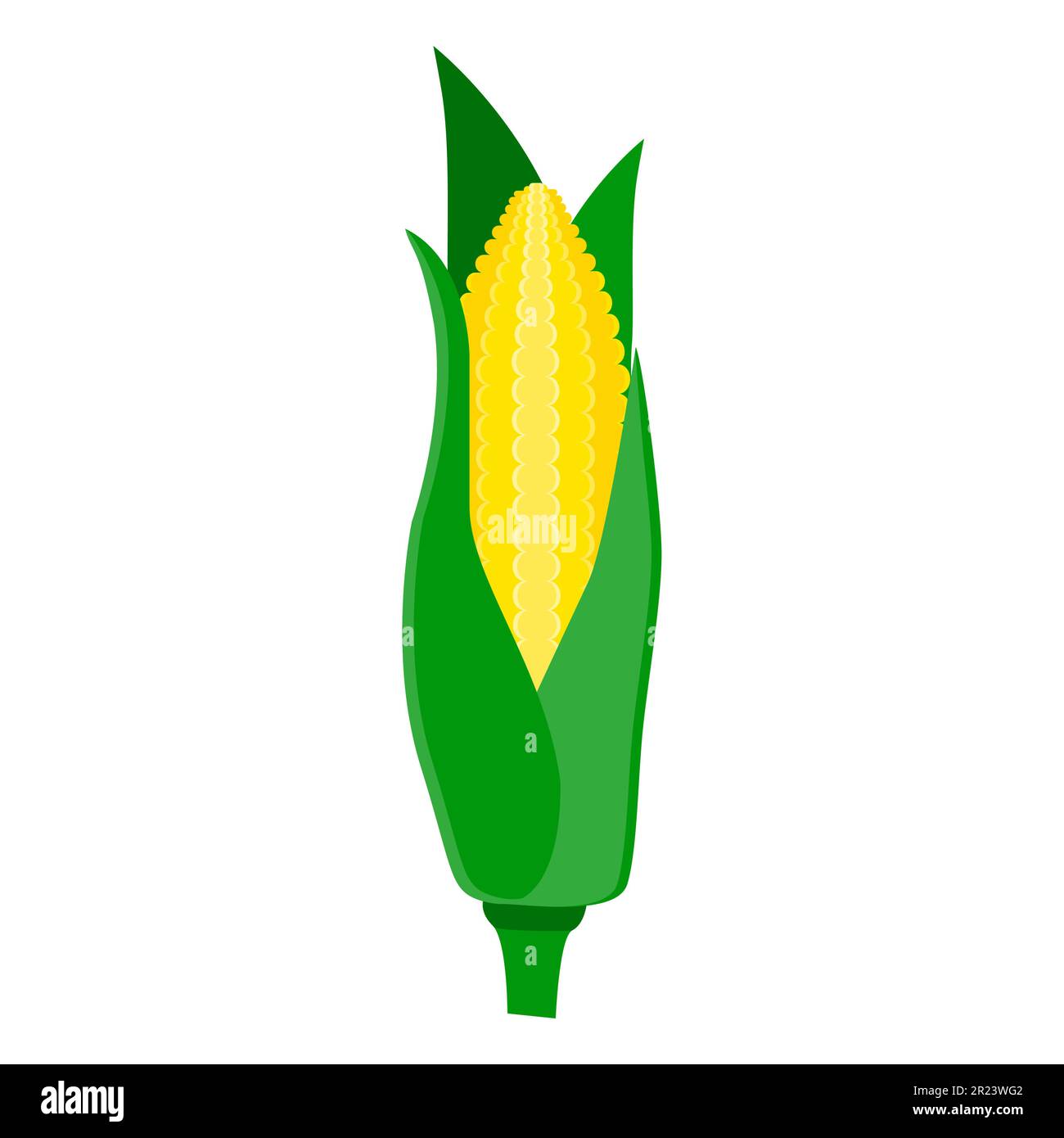 corn vegetable food flat icon vector illustration isolated on white background Stock Vector