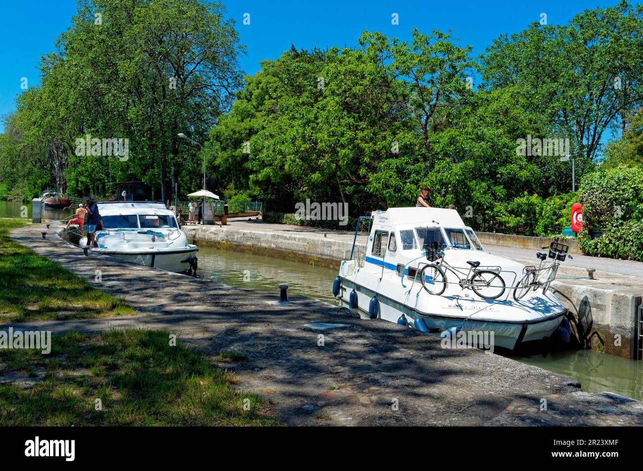 France, Herault, Villeneuve les Beziers, Place Michel Solans, olive tree  planted in the middle of a traffic circle Stock Photo - Alamy