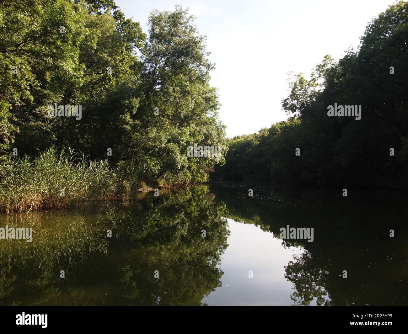 Ropotamo Reserve (Primorsko, Burgas Province, Bulgaria) Stock Photo