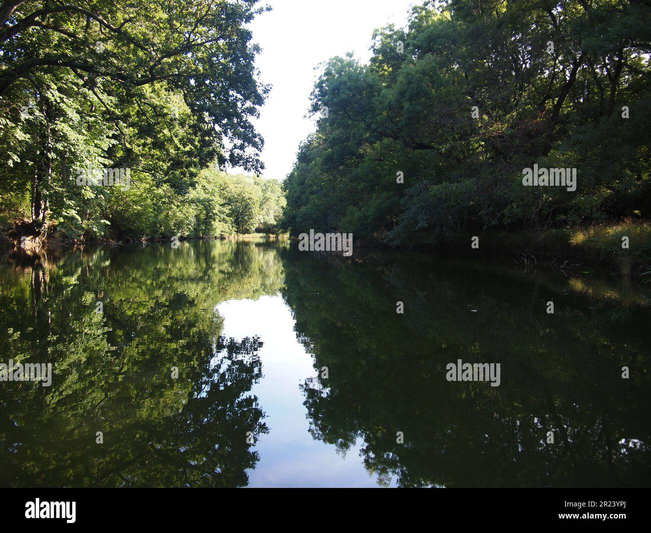 Ropotamo Reserve (Primorsko, Burgas Province, Bulgaria) Stock Photo