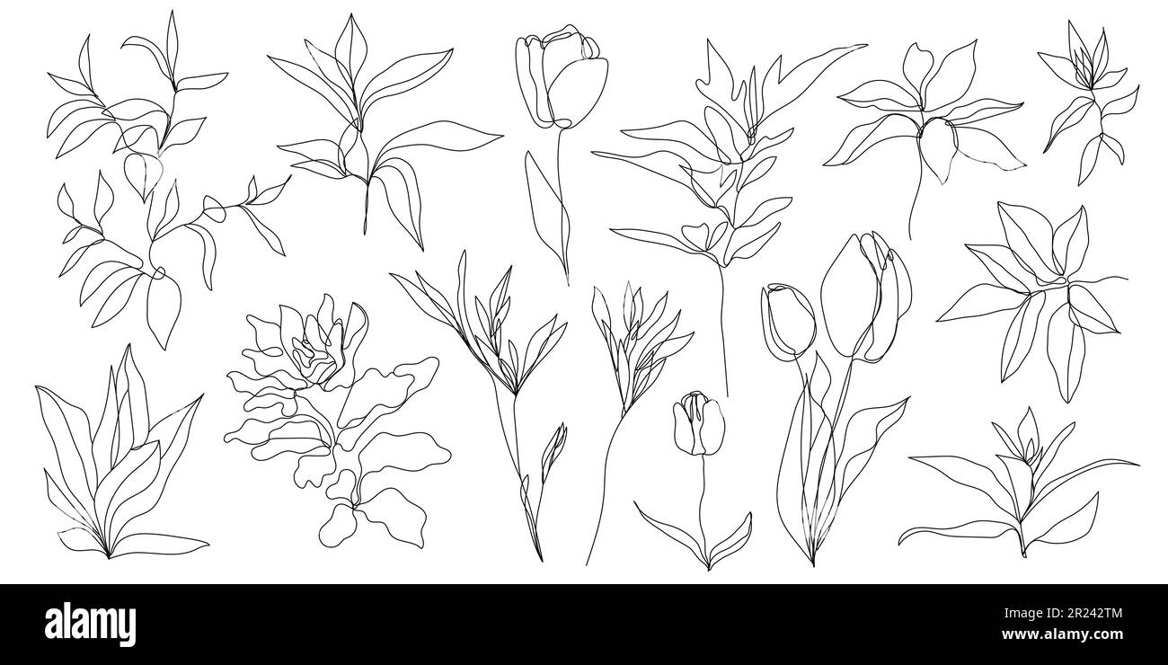 Vector set of hand drawn, single continuous line flowers, leaves. Art ...