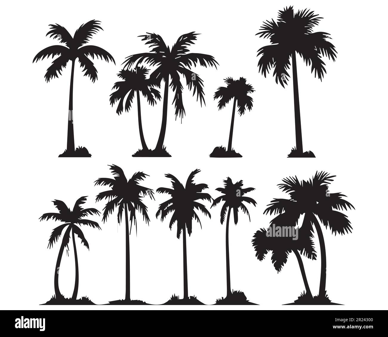 ramadan date tree