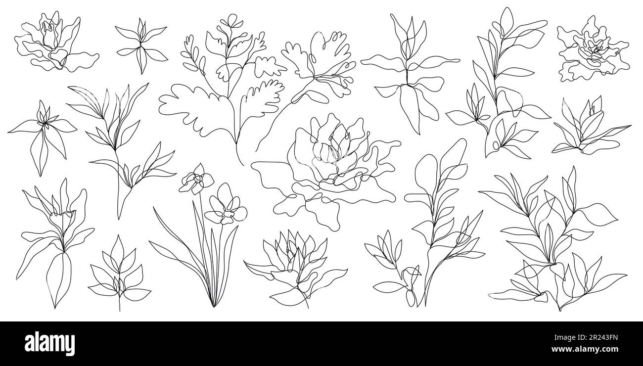 Vector set of hand drawn, single continuous line flowers, leaves. Art ...