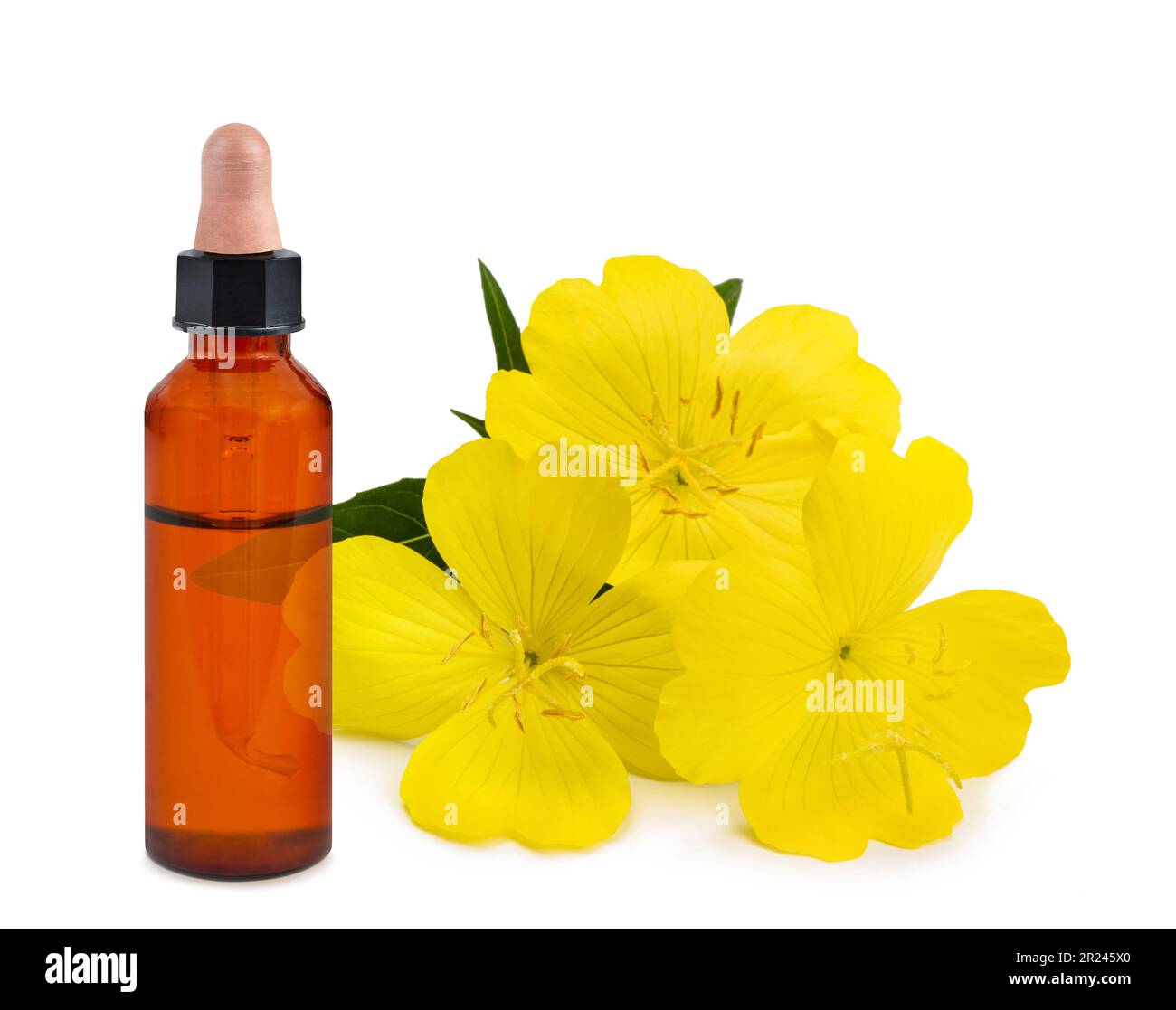 Common evening primrose with essence bottle flowers isolated on white