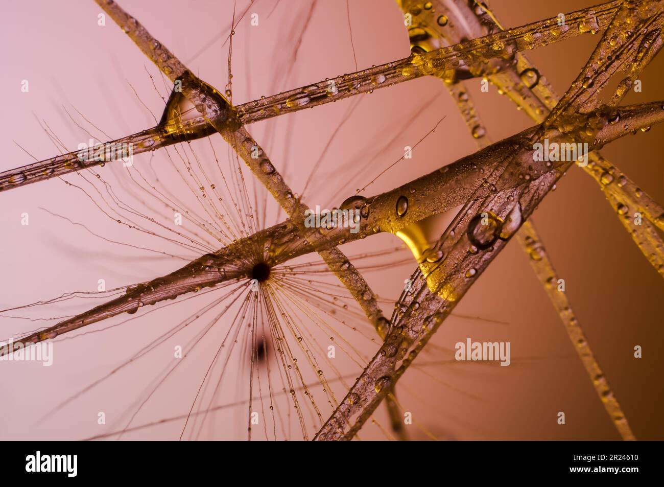 colorful light,water and glass,spectacular view of water droplets