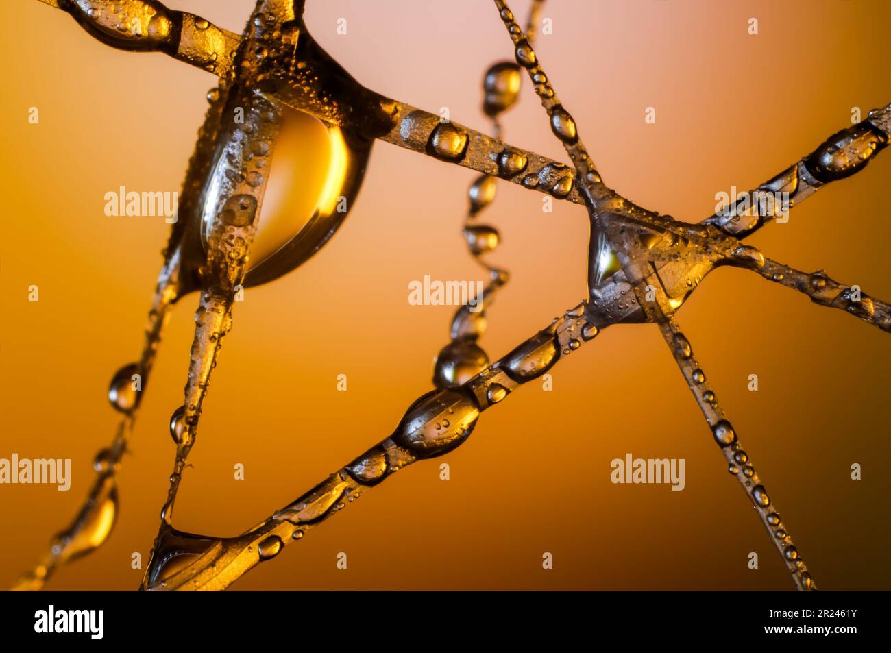 colorful light,water and glass,spectacular view of water droplets
