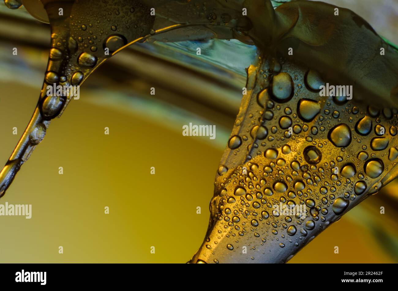 colorful light,water and glass,spectacular view of water droplets