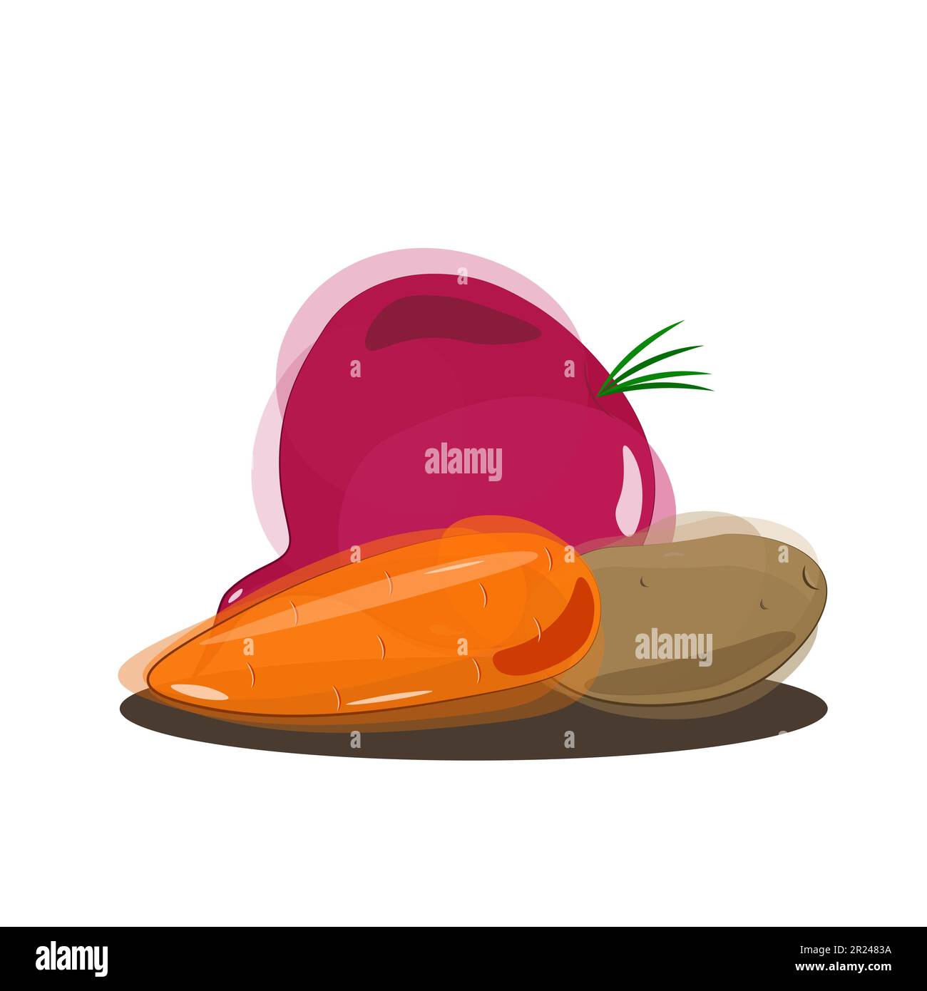 Vector purple beets and orange carrot with brown potatoes in watercolor