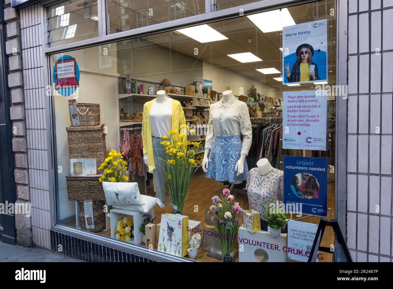 Spring window display in Cancer Research UK charity shop High street Lincoln city 2023 Stock Photo