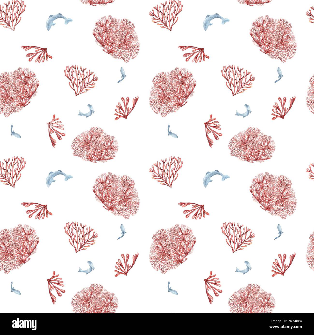 Seamless pattern of sea plants, coral watercolor isolated on white background. Pink agar agar seaweed and fish hand drawn. Design element for package, Stock Photo