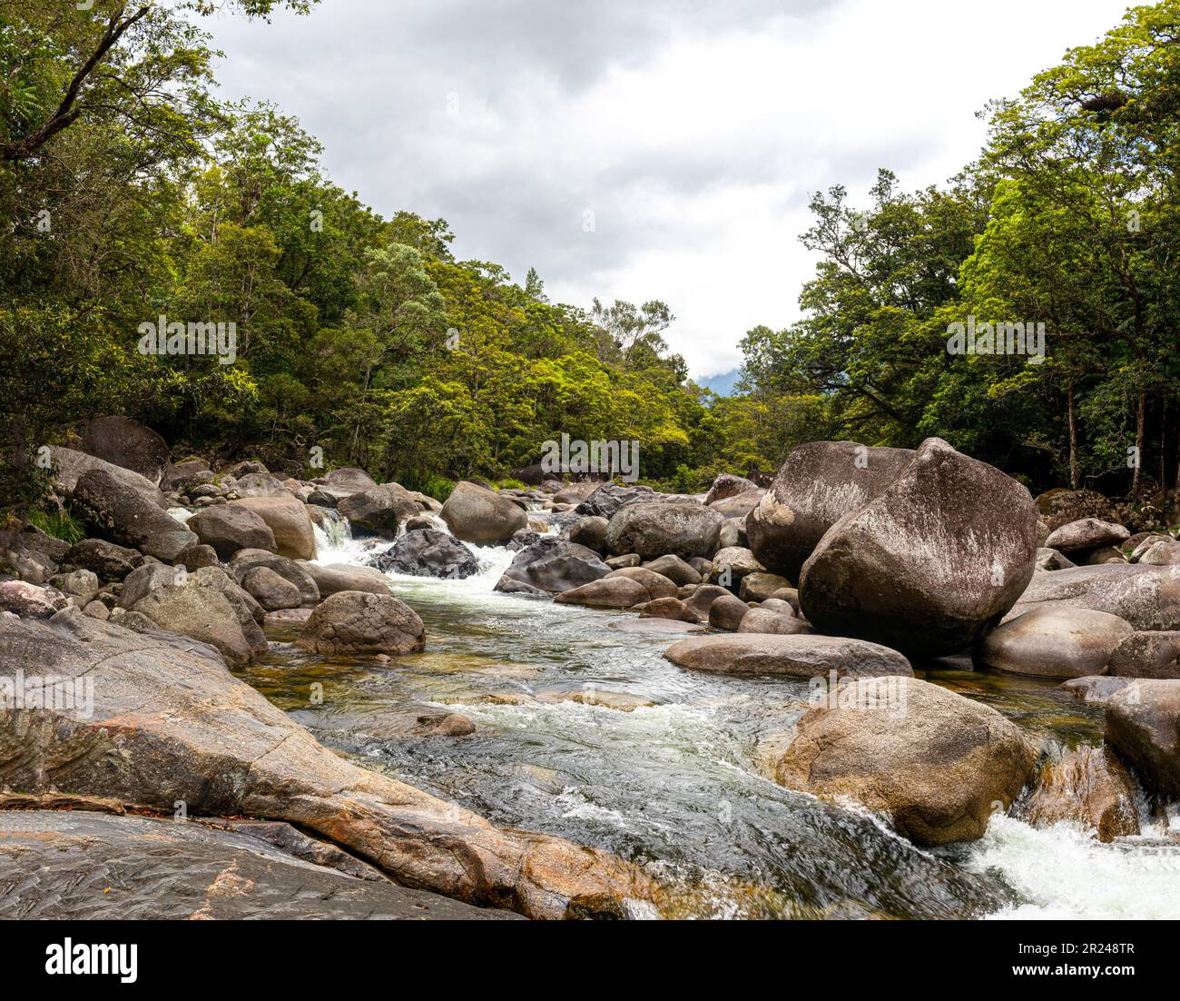 Green jungle flowing river hi-res stock photography and images - Alamy