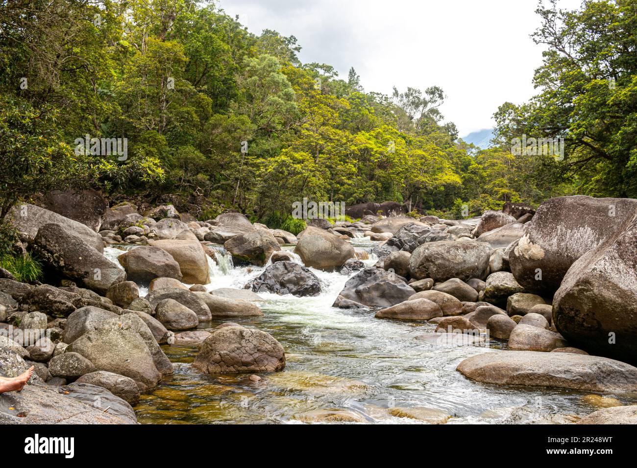 Rocky river in forest hi-res stock photography and images - Alamy