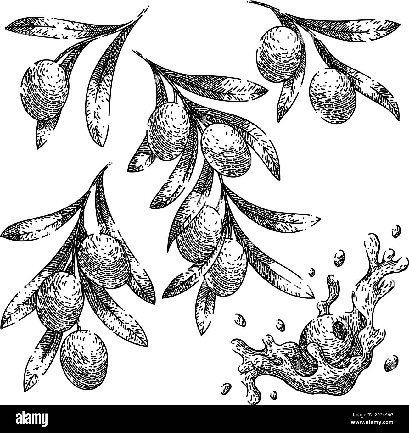 oline oil food set sketch hand drawn vector Stock Vector Image & Art