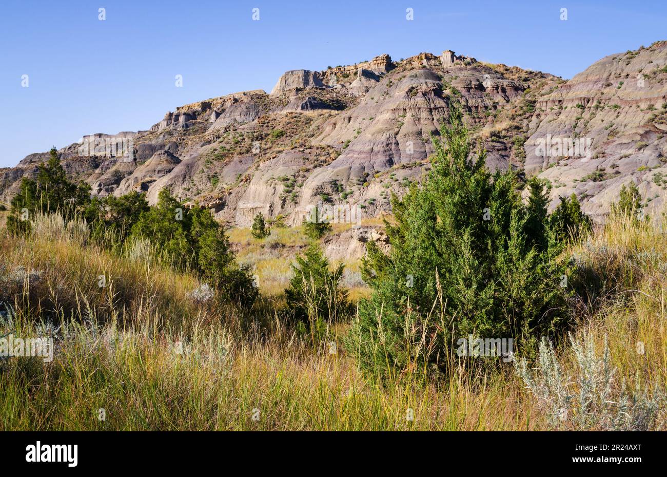 Makoshika State Park, Montana's Largest State Park Stock Photo