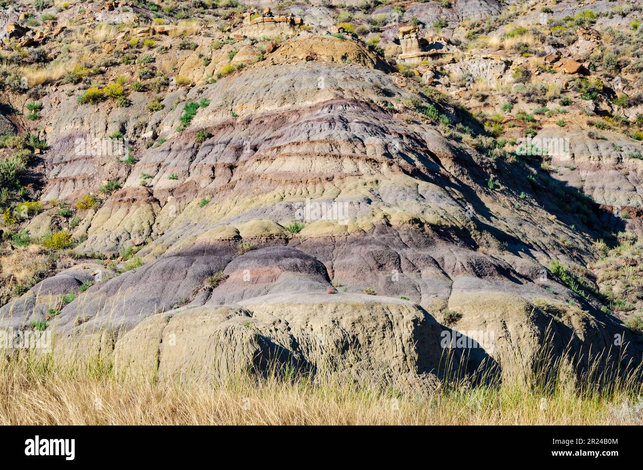 Makoshika State Park, Montana's Largest State Park Stock Photo - Alamy