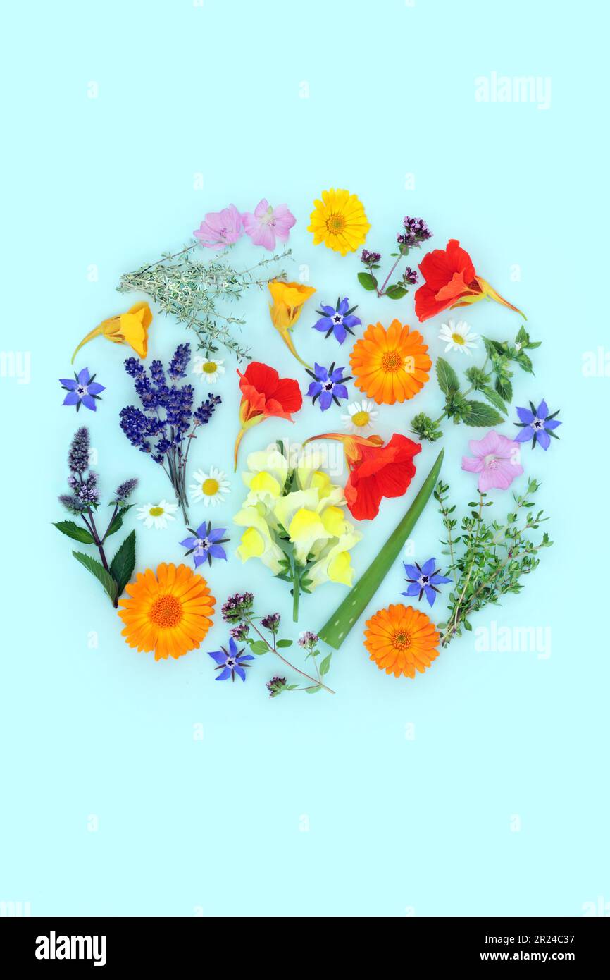 Herbs and flowers for alternative plant based skincare beauty treatment
