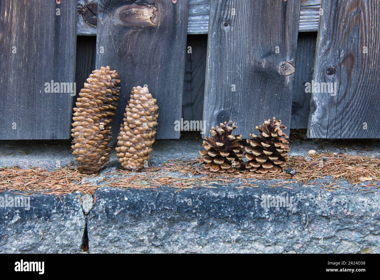 Pine wood fence hi-res stock photography and images - Alamy