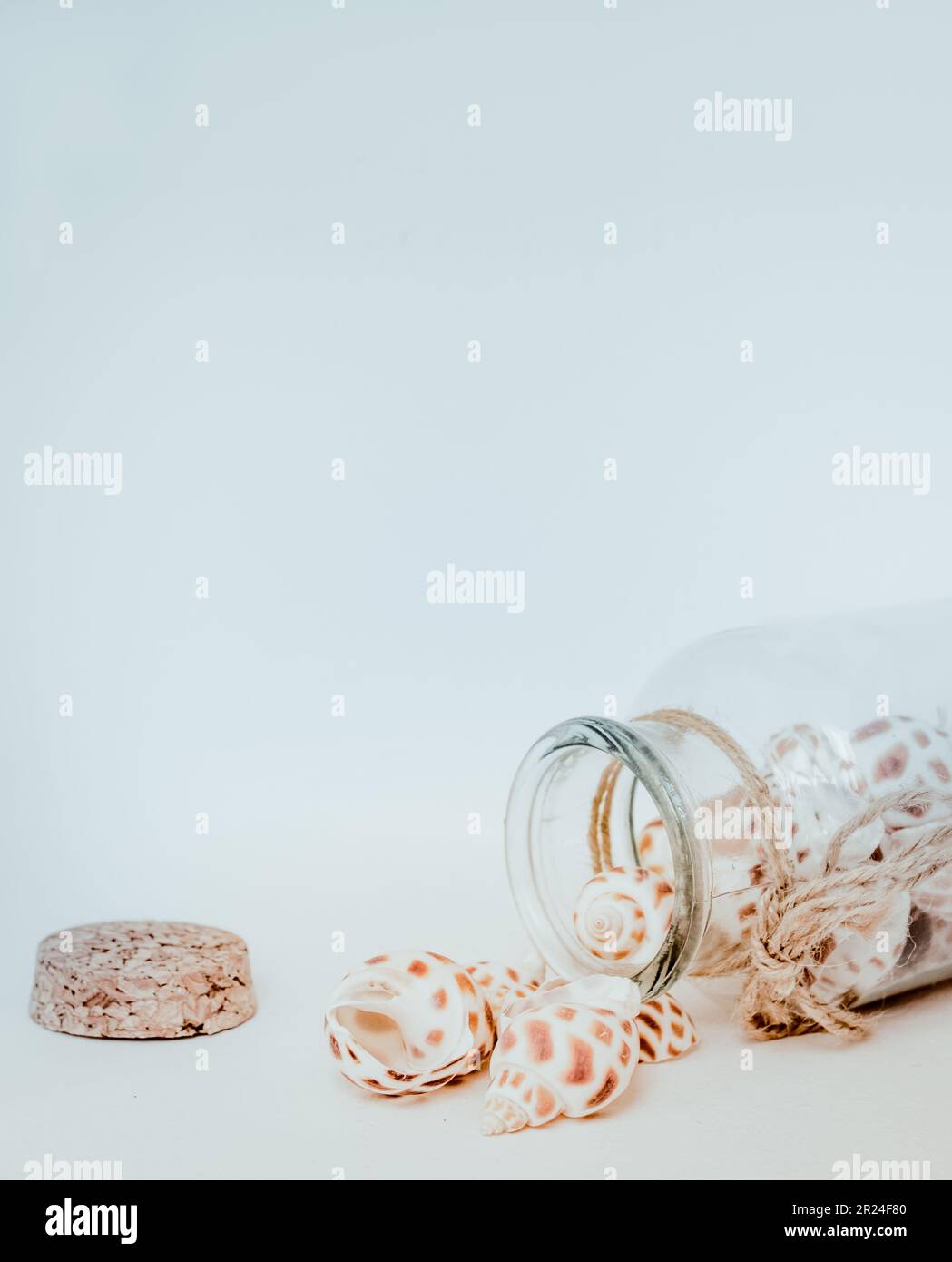 Tiger shells spilling out of a glass jar. Stock Photo
