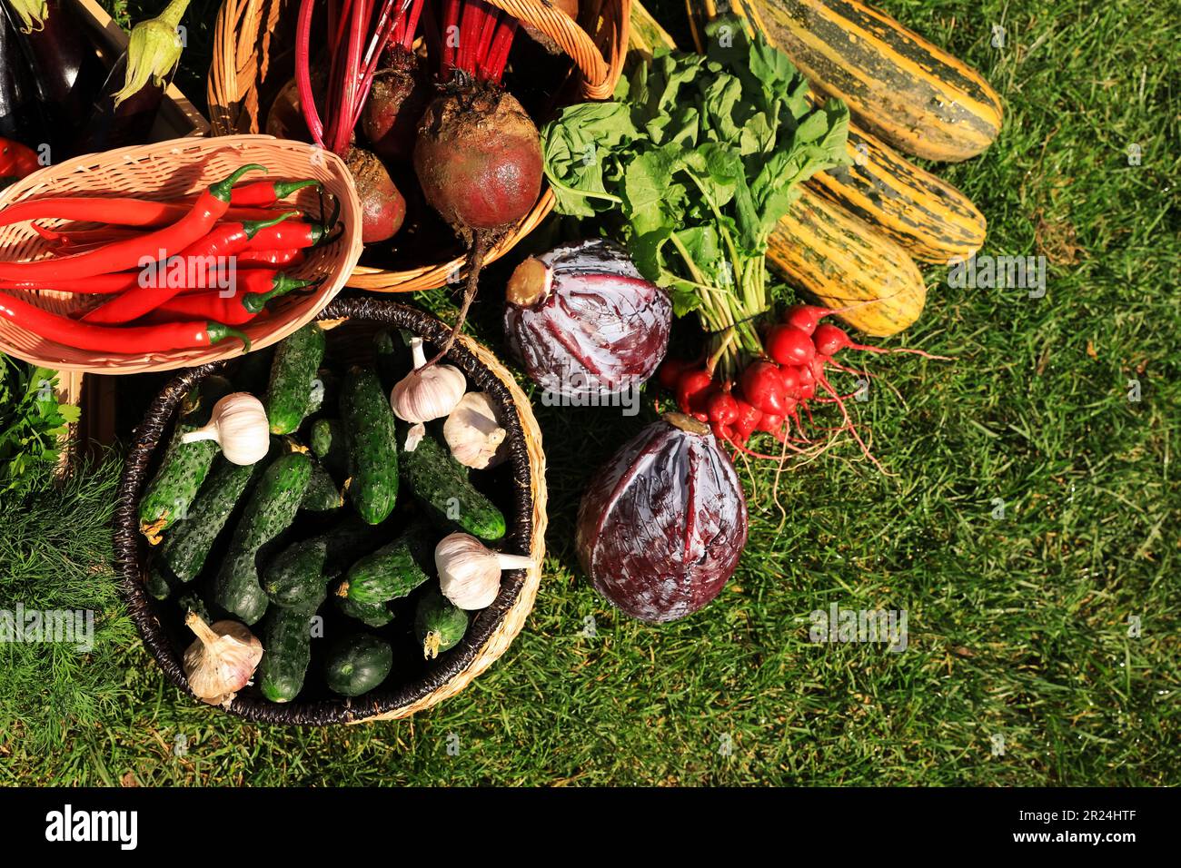 Different fresh ripe vegetables on green grass, flat lay Stock Photo ...