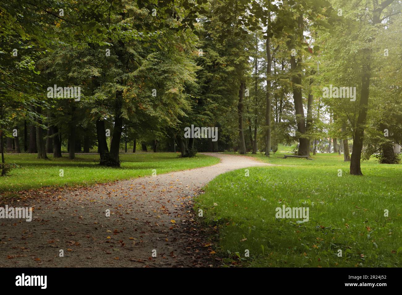 Beautiful public city park with pathway and green grass Stock Photo - Alamy